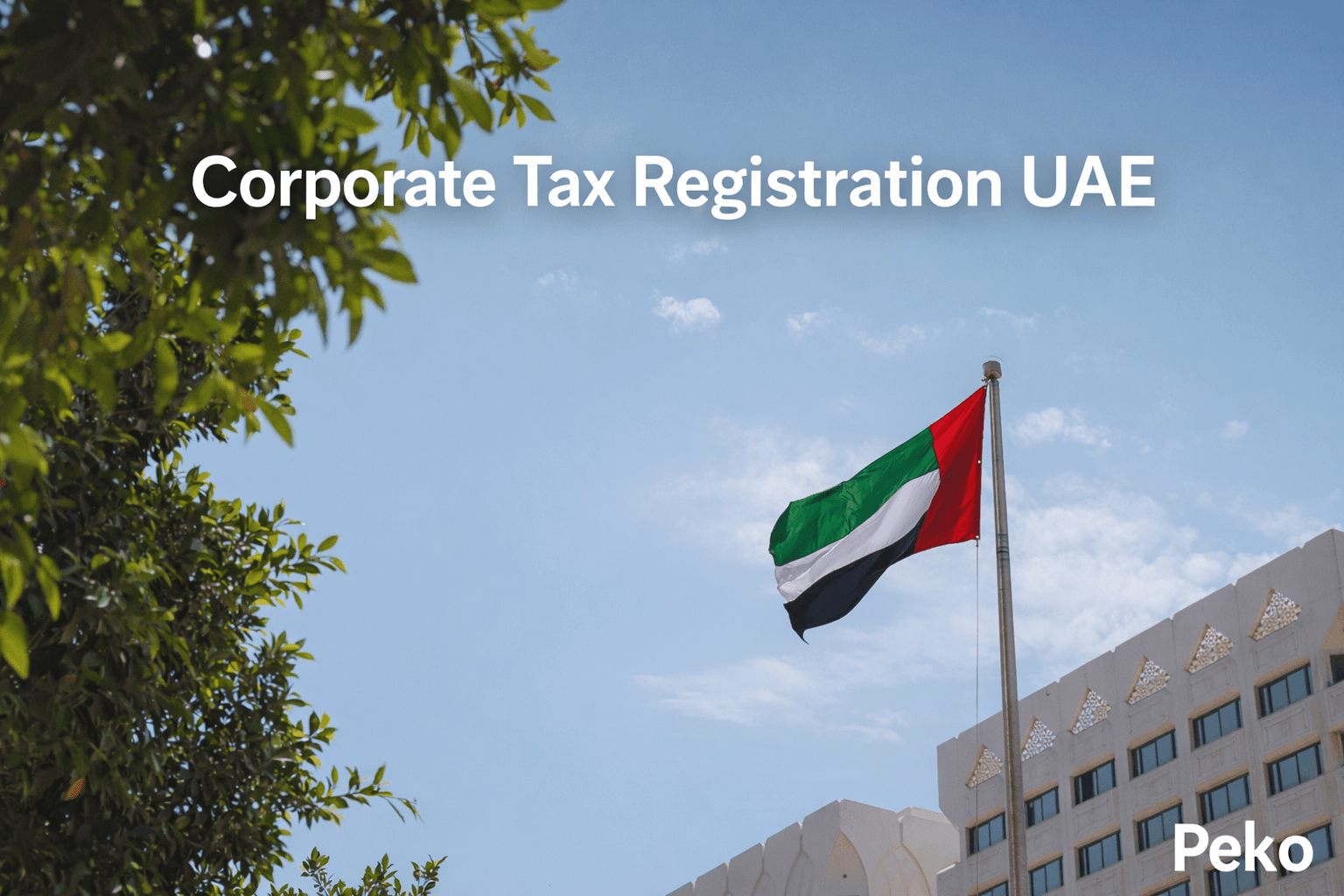 step by step corporate tax registration process UAE EmaraTax portal